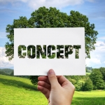 Landscaping Services Canterbury