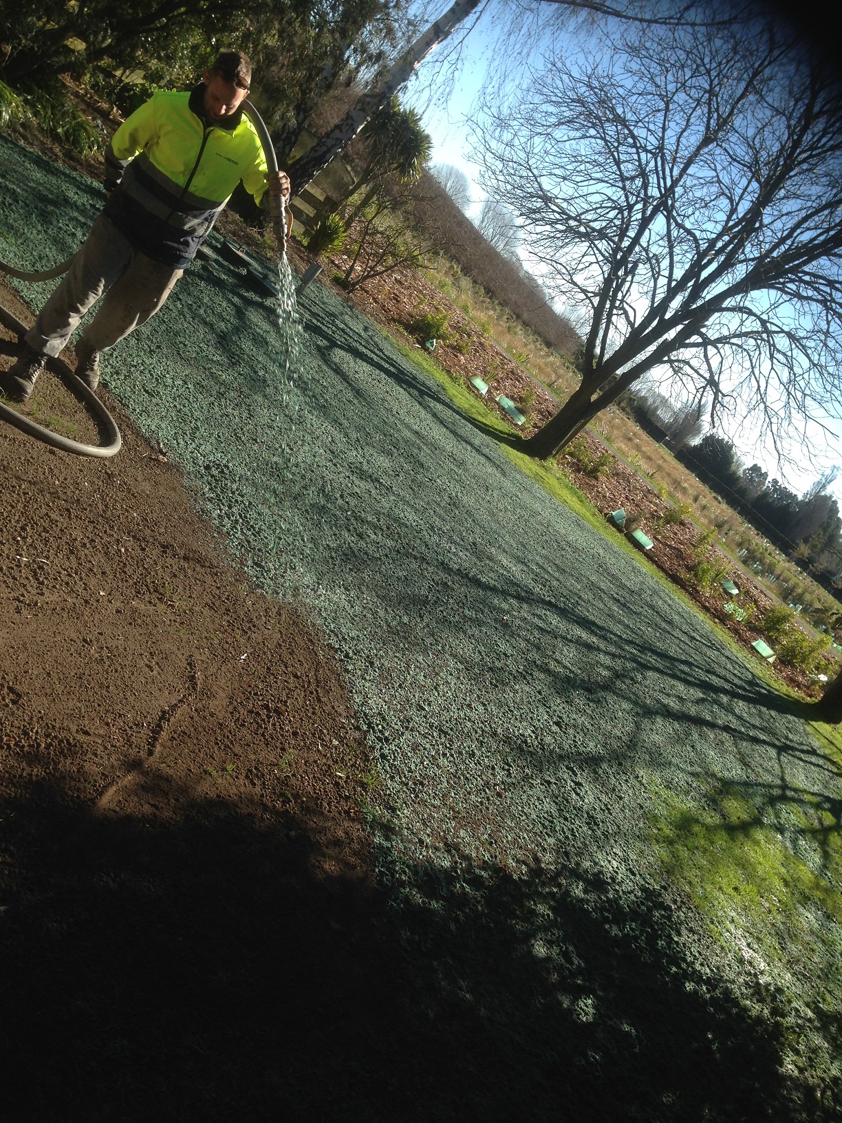 Spray on Lawn, Hydroseeding Christchurch Canterbury.