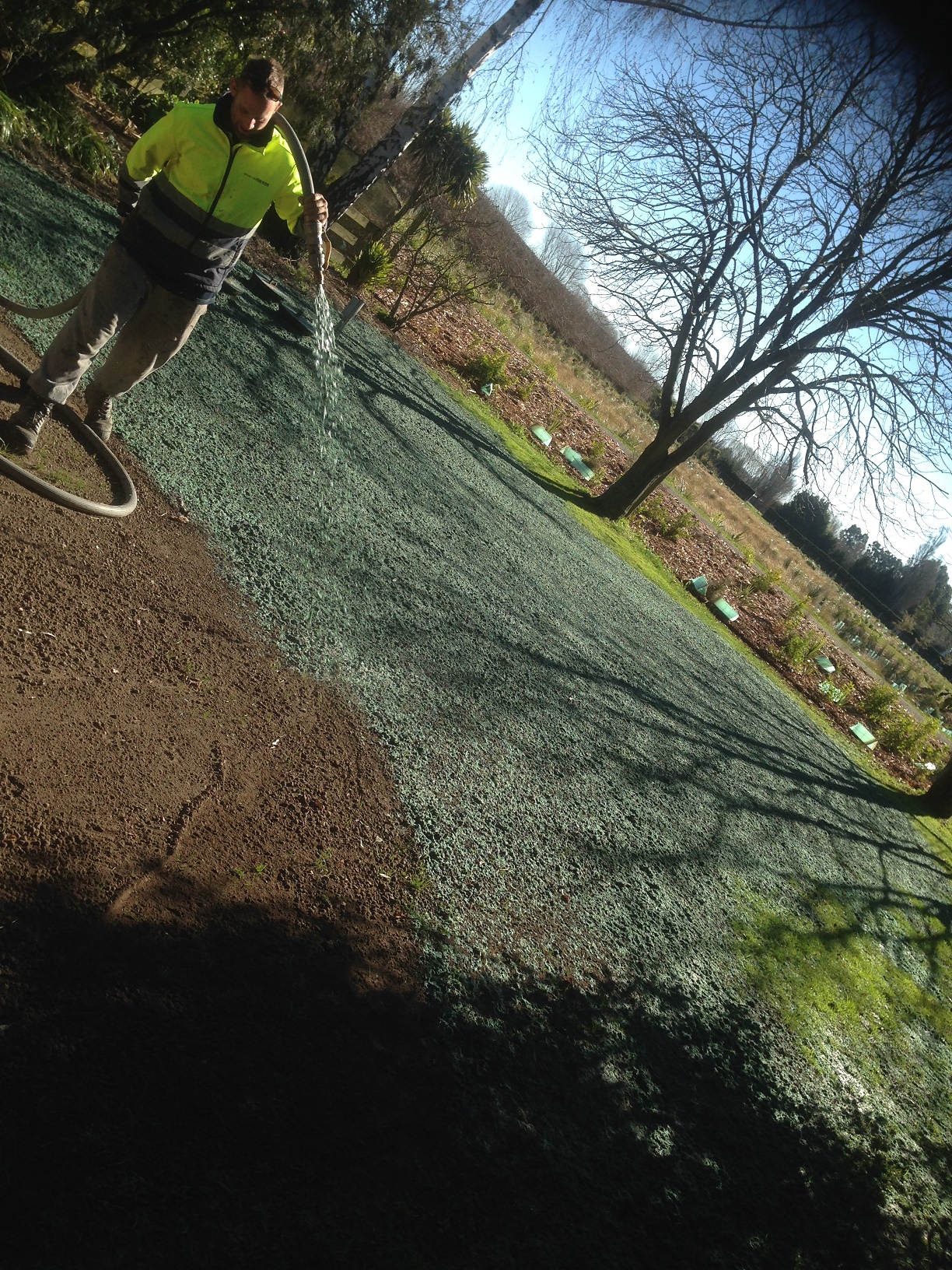 Hydro Seeding Christchurch Spray On Grass